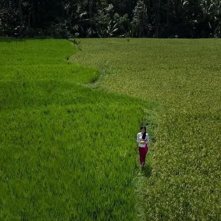 Alosta Luxury Private Villa Ubud Extérieur photo