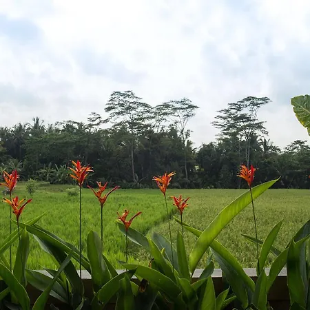 Alosta Luxury Private Villa Ubud Extérieur photo