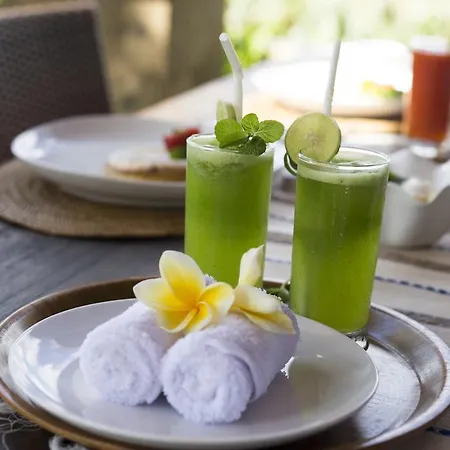 Alosta Luxury Private Villa Ubud Extérieur photo