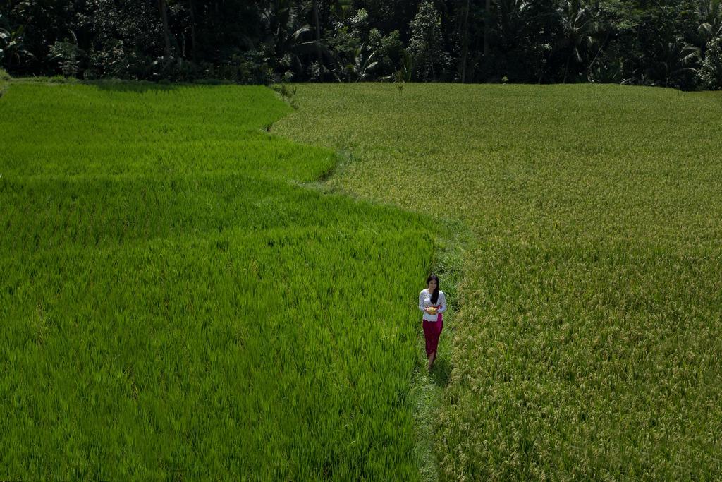 Alosta Luxury Private * Ubud