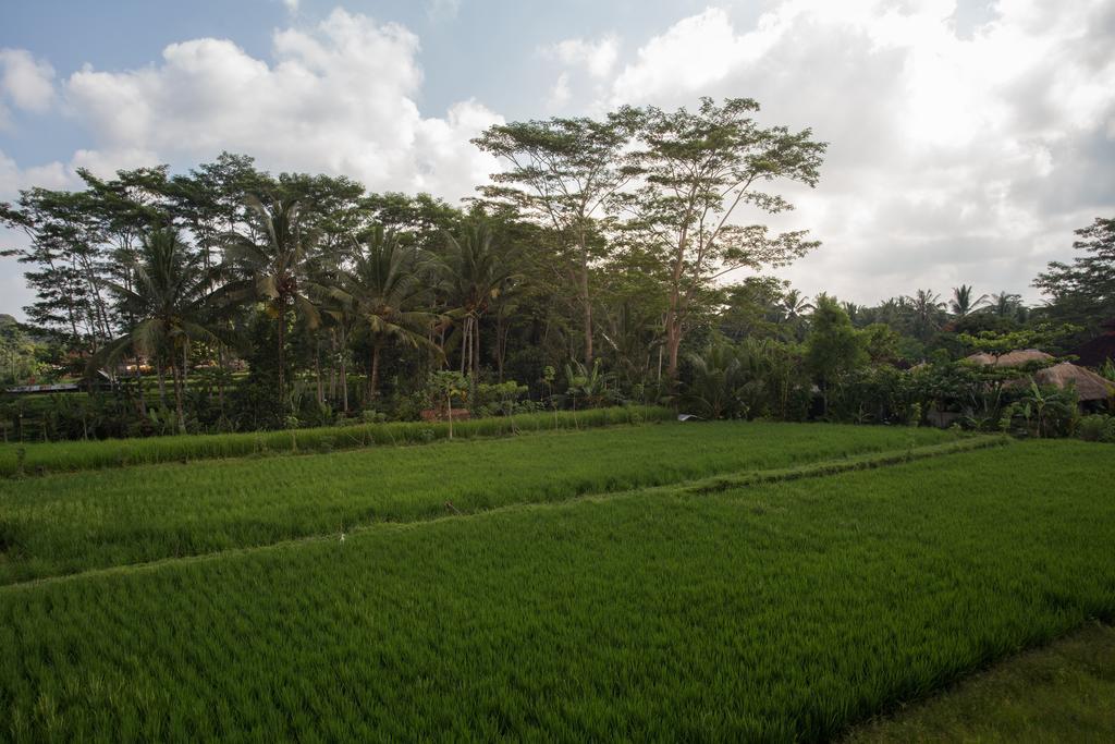 Alosta Luxury Private Villa Ubud